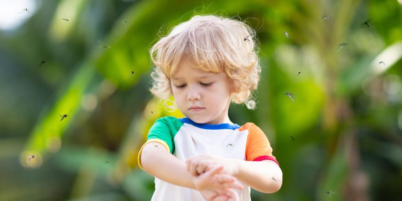 Mosquito Control in Newnan, Georgia