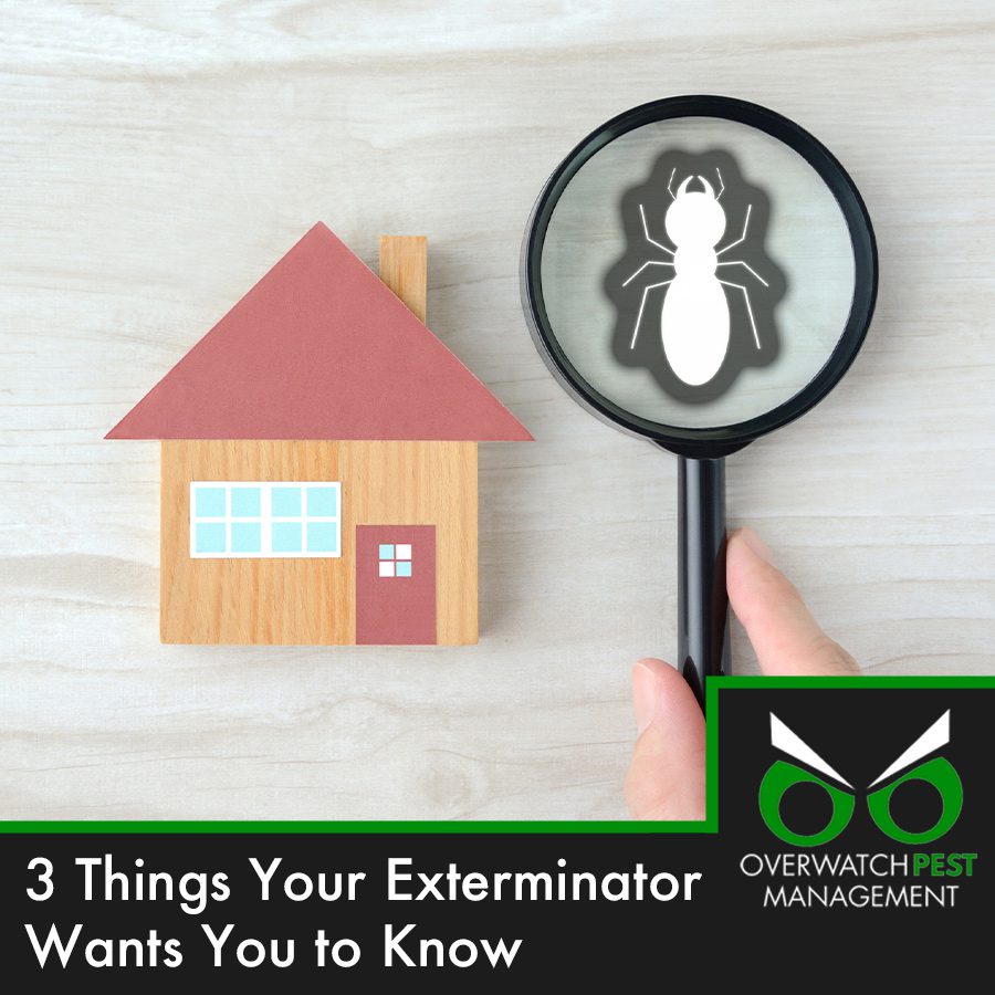 Three Things Your Exterminator Wants You to Know