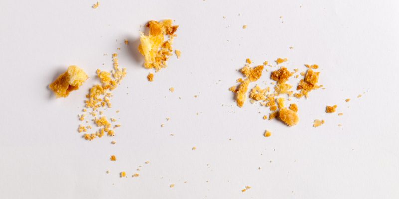 How to Deal with a Cockroach Infestation