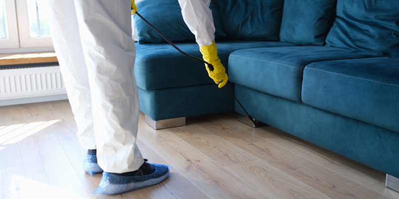 Pest Control in Newnan, Georgia