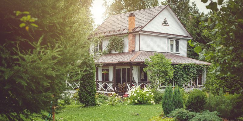 Wildlife Removal in Newnan, Georgia