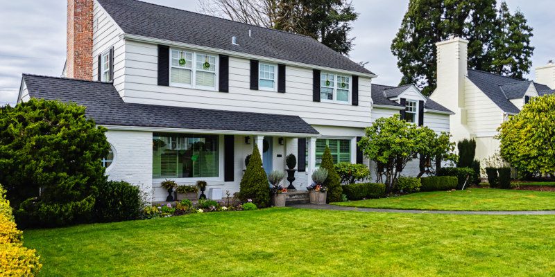 Hornet Control in Fayette County, Georgia