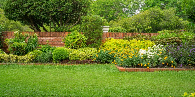 Yellowjacket Control in Newnan, Georgia