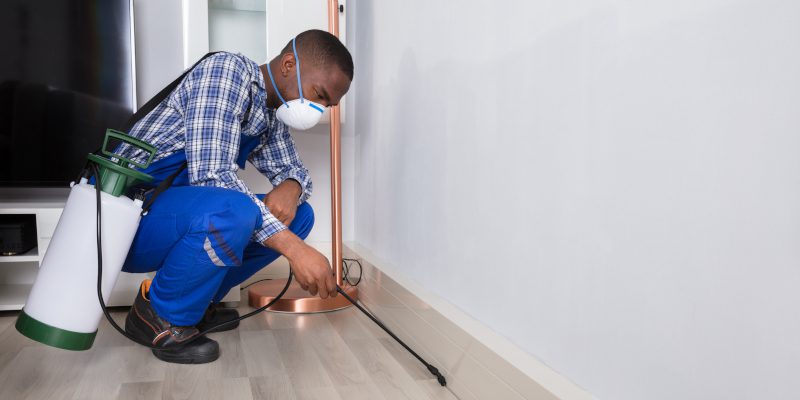 Why You Should Invest In Commercial Pest Control