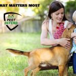 Eco-Friendly Pest Control