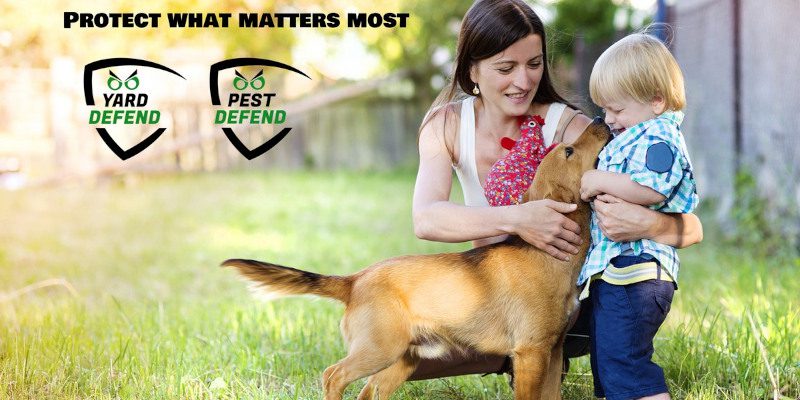 Eco-Friendly Pest Control in Newnan, Georgia