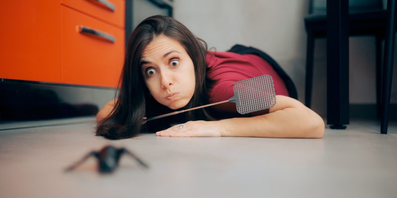 Do You Really Need a Professional Exterminator?