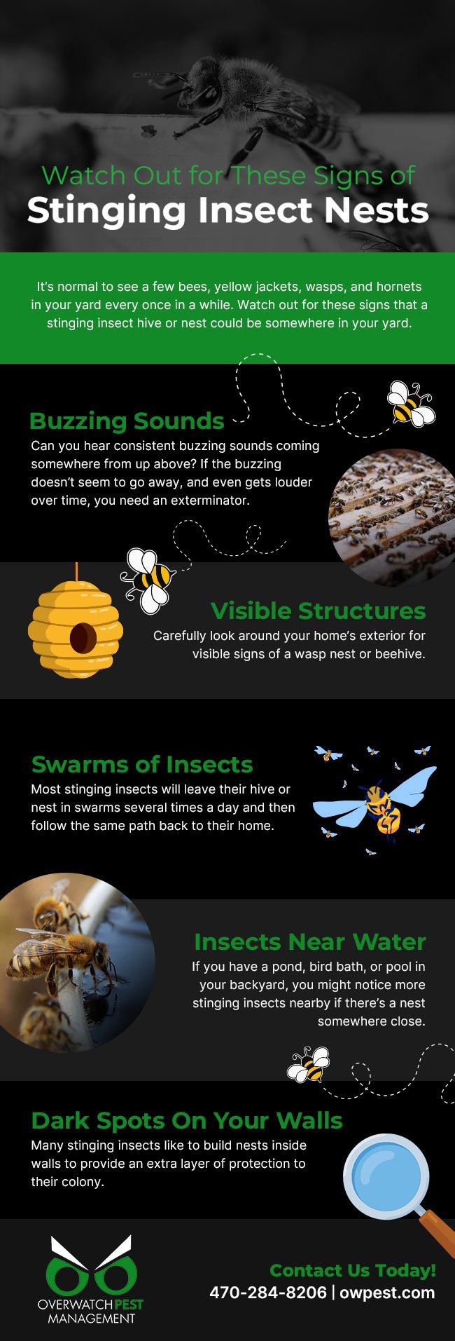 Watch Out for These Signs of Stinging Insect Nests