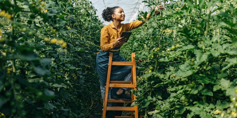 Five Benefits of Eco-Friendly Pest Control Solutions