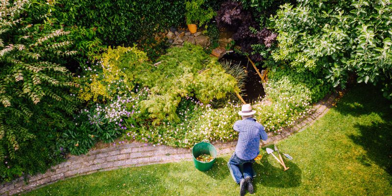 Three Tips Your Pest Exterminator Wants You to Know