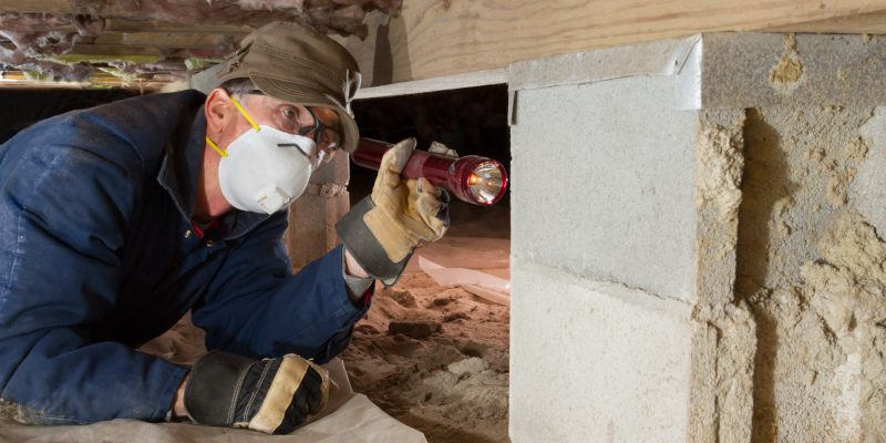 Learn How Crawlspace Services Get Pests Out of Hard-to-Reach Areas