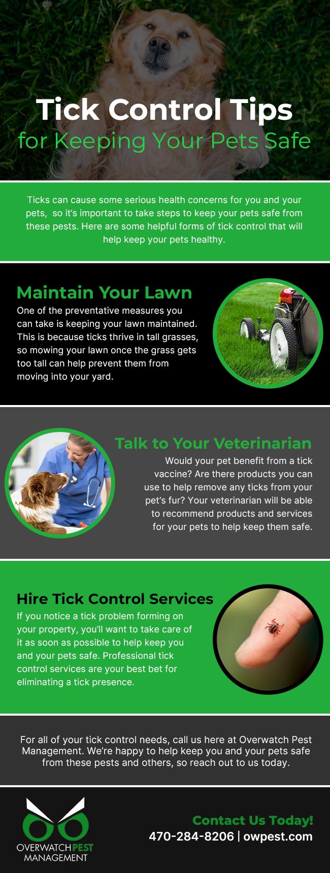 Tick Control Tips for Keeping Your Pets Safe