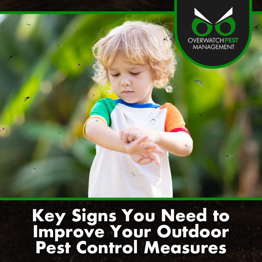 Key Signs You Need to Improve Your Outdoor Pest Control Measures