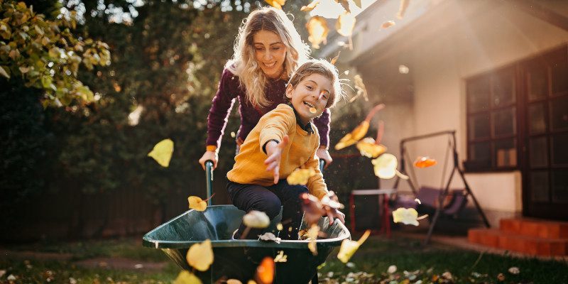Spider Control in Newnan, Georgia