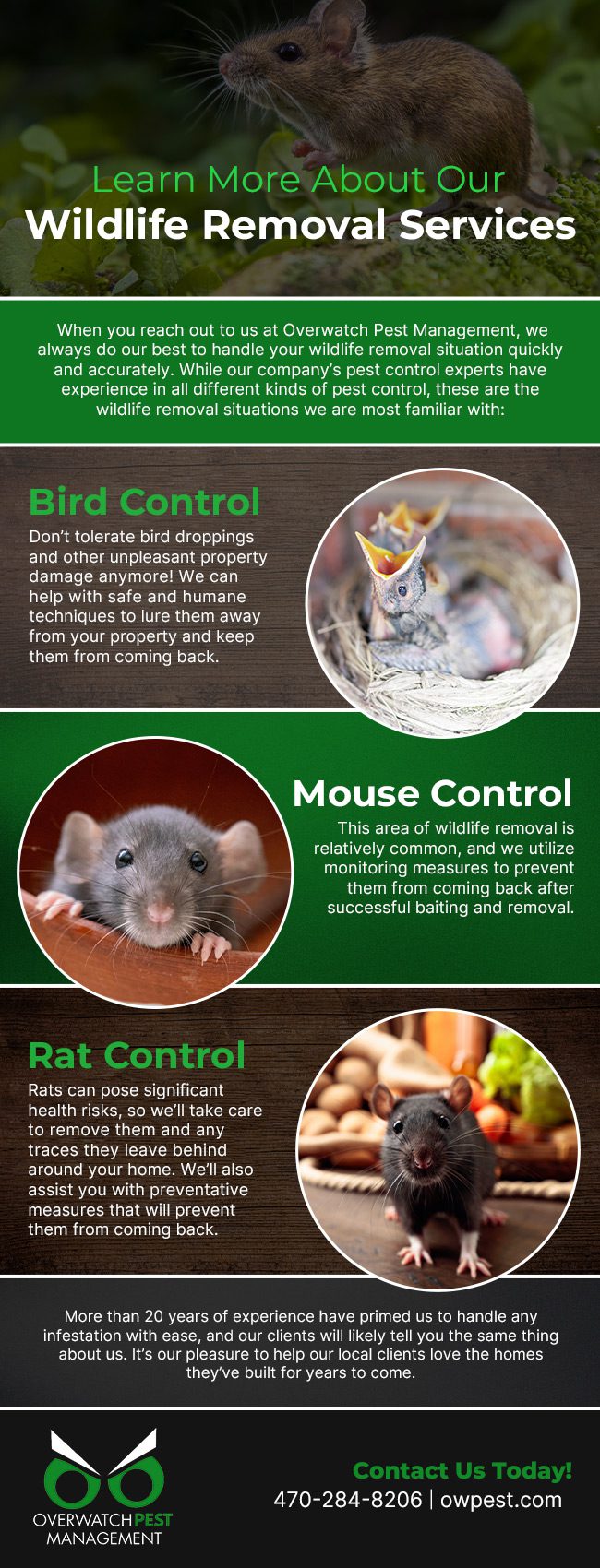 Learn More About Our Wildlife Removal Services [infographic]