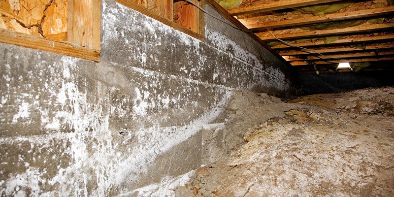 How Crawlspace Encapsulation Works as a Pest Control Solution