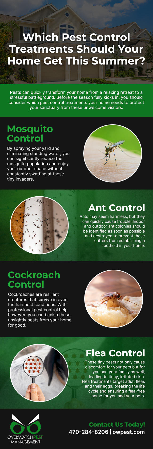 Which Pest Control Treatments Should Your Home Get This Summer?