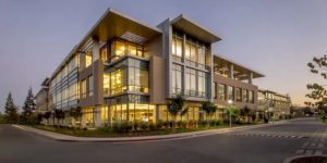 What to Look for in a Commercial Pest Control Company