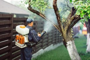 3 Reasons Why You Should Call Us When You Need an Exterminator