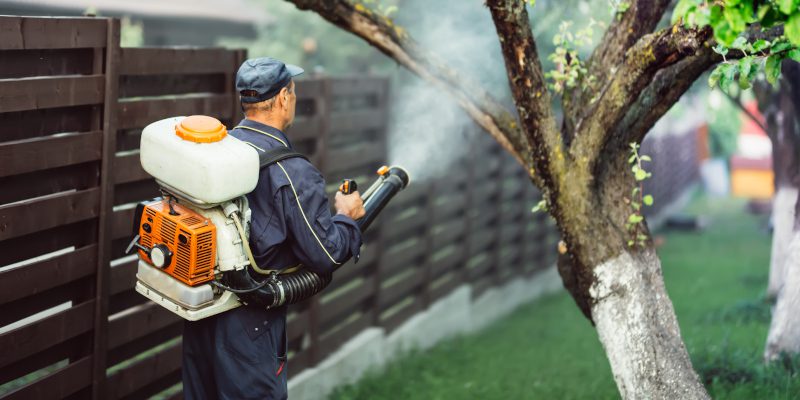 3 Reasons Why You Should Call Us When You Need an Exterminator